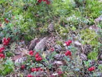 Alutaguse Recreation and Sports Center