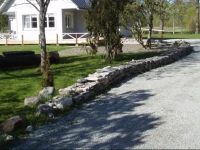 Niidupuu Holiday Home