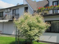 Aisa Guesthouse - Aisa 82