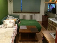 Rohu Summer Studio Apartment