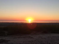 Suur-Sepa 5 Apartment