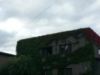 Eha Suija Home Accommodation