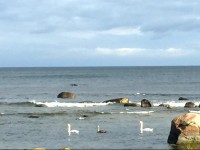 Vainupea Holiday Home