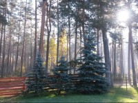 Oksa Home Accommodation