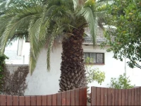 Lowry Cole Avenue, Self Catering