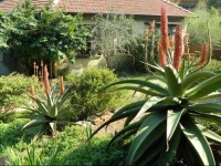 Mackaya Bella Guest House 2*