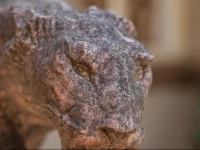 The Lions Guest House 3*