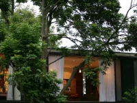 Apartment on Bellevue