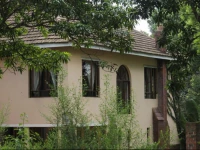 Caribe Caribe on Everton