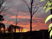 Rose Well Country House