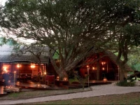 Kosi Forest Lodge