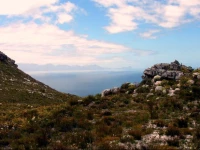 Bluebottle Guesthouse