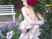 Lotus Blossom Accommodation