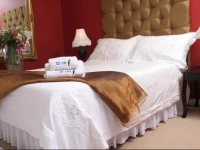 15 On Penguin Guesthouse