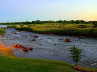 Sun River Kalahari Lodge 4*