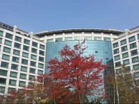 Incheon Airport Best Guesthouse