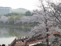 Gyeongju Tiamo Pension