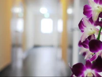 The Beach Pension Haeundae