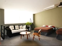 Seoul Loft Apartments - SLA