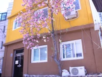 Gom Guesthouse Dongdaemun