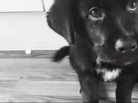 The One Hostel Hongdae in Seoul