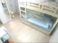 Honeybees House - Female Only