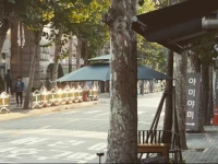 Hongdae Olive Guesthouse