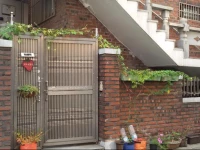 Sleeping Strawberry 1*