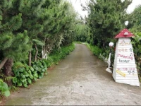 Dreaming Forest Pension Seogwipo