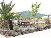 Nandrue olle Pension