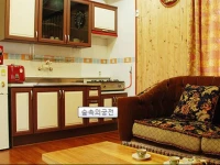 Palace in the forest Pension