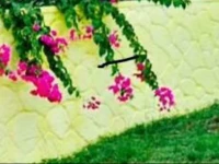 Sun Haven Vacation Home