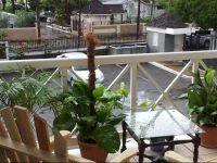 Cozy Waterloo Apartment