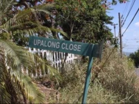 North Light - Adults Only