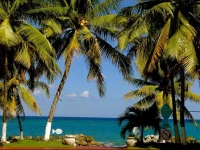 Oceanfront one bedroom apartment