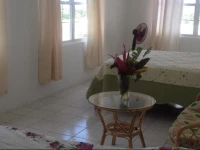 Mr Barrys White House