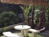 Pineapple Hill Sea View Cottage