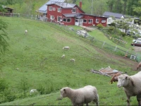 Farm Inn Anima no Sato