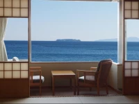 Hotel New Sagamiya 4*