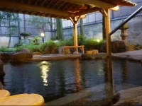 Yudanaka Tawaraya Ryokan