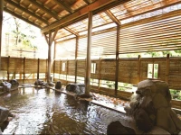 Yukai Resort Hana Saichoraku (Female Only)