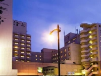 Yunokawa Prince Hotel Nagisatei 4*