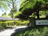 TOP Resort Hakone Onsen Goku no Yado