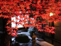 100 Years Old Kyoto Gardener House