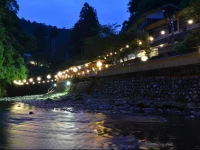 Takao Kanko Hotel 2*