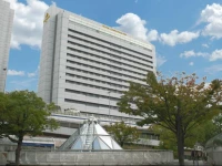 Hotel Crown Palais Kobe 3*