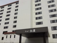 Hotel New Koyo 3*