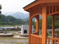 Natural House Pure 21