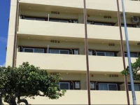 Mr. Kinjo Violette Kukomae