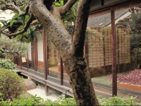 Guesthouse Nara Backpackers 2*